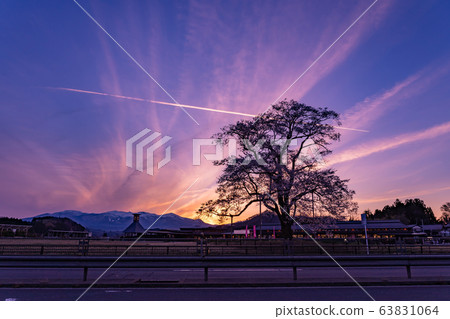 福島縣日本松市市路站足立櫻花 福島縣日本松市市路站足立櫻花 63831064