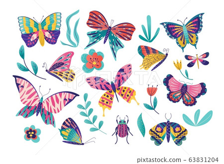 Butterfly moth insect vector illustration set, cartoon insects collection with colorful flying butterflies group, bug icon isolated on white