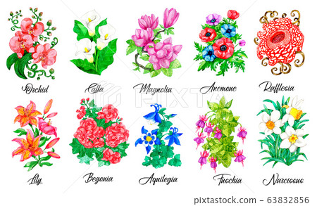 Design set of Orchid, Calla, Magnolia, Lily, Narcissus, Aquilegia and other flowers isolated on white. 63832856