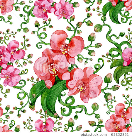 Seamless pattern with pink Orchid flower on... - Stock Illustration ...