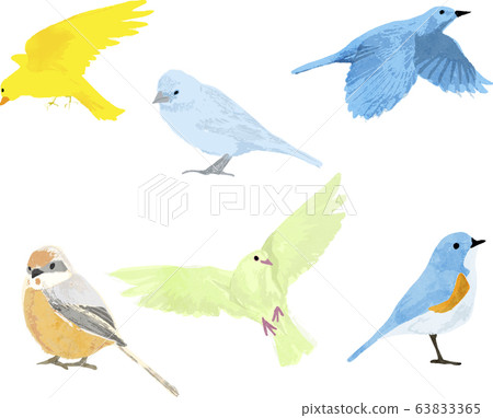 Birds vector set 63833365