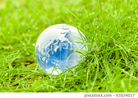 Globe and grass Globe and grass 63834017