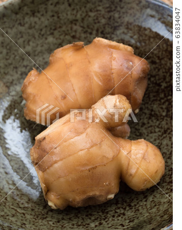 Ginger Ginger 63834047