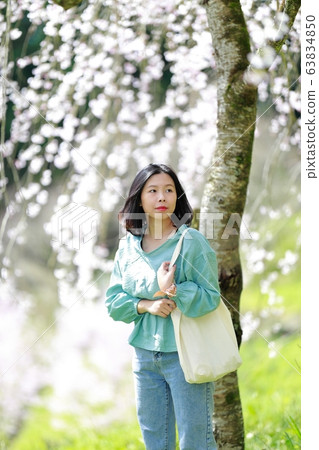 中越家族的櫻花 中越家族的櫻花 63834850