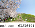 京田市Sakitama Kofun公園的櫻花山 63836491