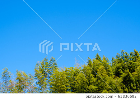 [正版照片]藍天山林鄉村春天天空背景背景素材三月復制空間 63836692