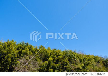 [正版照片]藍天山林鄉村春天天空背景背景素材三月復制空間 63836694