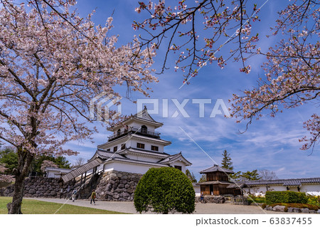 宮城縣白石城春季恢復城堡塔樓3樓砲塔 63837455