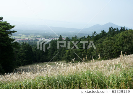Tottori Four Seasons Walk Autumn Oyama 63839129