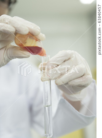 Experiment in the laboratory 63840457