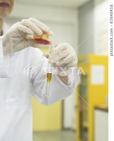 Experiment in the laboratory 63840458