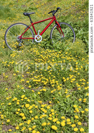 Red bicycle and dandelion Red bicycle and dandelion 63841921