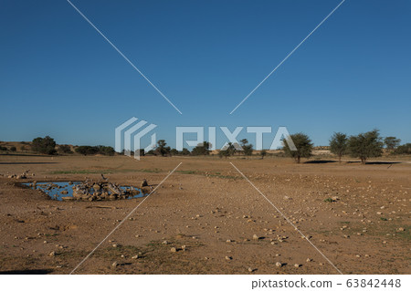 Kgalagadi Kgalagadi 63842448