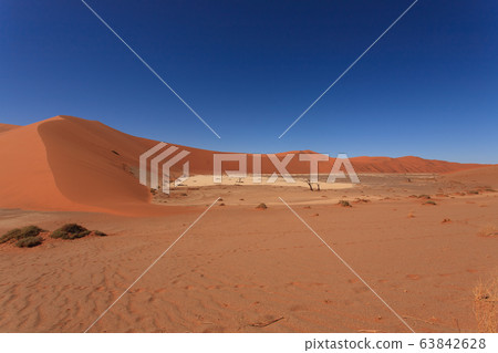 Hidden Vlei 63842628