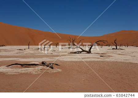 Dead Vlei 63842744