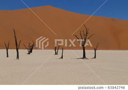 Dead Vlei Dead Vlei 63842746