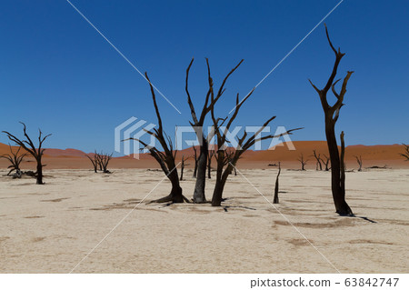 Dead Vlei Dead Vlei 63842747