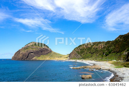 小野龜看起來完全像一隻烏龜 63845462