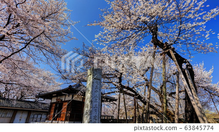 Ishido Kamakura 63845774