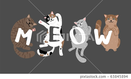 Meow slogan with sleeping cats 63845894