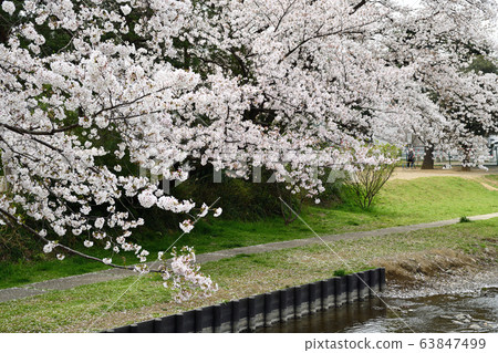 Cityscape @ Spring Kawagoe Cityscape @ Spring Kawagoe 63847499