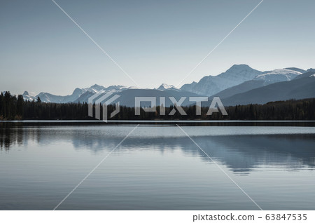 Canadian Rockies with pine forest and clear sky Canadian Rockies with pine forest and clear sky 63847535