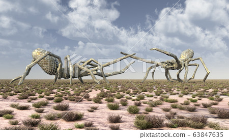 Two monstrous spiders in a landscape 63847635