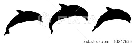 Silhouette of three jumping dolphins Silhouette of three jumping dolphins 63847636