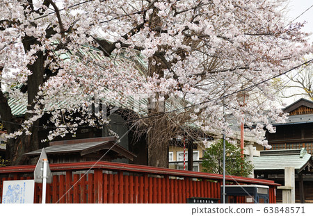 川越春天城市景觀 川越春天城市景觀 63848571