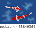 Two Carp fish in the blue water pool.  63849364