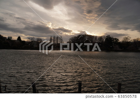池塘在晚上 池塘在晚上 63850578