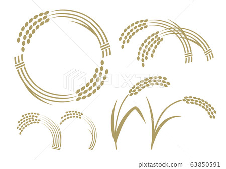 Various rice 63850591