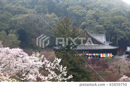 Hasegaji main hall Hasegaji main hall 63850750