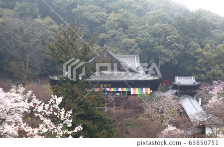 Hasegaji main hall Hasegaji main hall 63850751