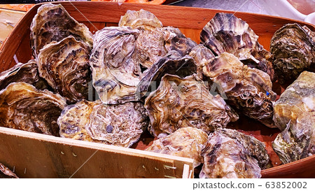 Many fresh oysters are relatively cool.  63852002