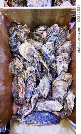 Many fresh oysters are relatively cool.  63852026