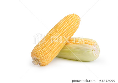 2 Freshness raw corn isolated on the white 2 Freshness raw corn isolated on the white 63852099