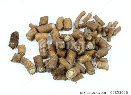 Fresh root from Echinacea angustifolia on white Fresh root from Echinacea angustifolia on white 63853026