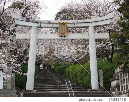 Kyoto Higashiyama Munechu Shrine cherry blossoms Kyoto Higashiyama Munechu Shrine cherry blossoms 63853916
