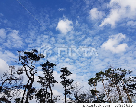 雲 雲 63855630