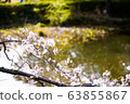 春花001 63855867