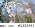 春花002 63855868