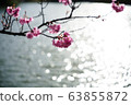 春花006 63855872