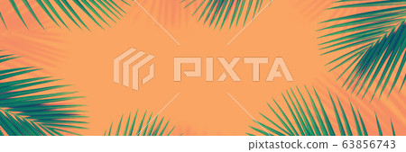 Tropical palm leaves frame on peach background. Minimal nature. Summer Styled. Flat lay pattern, panorama top view. Banner. Free copy space for text Tropical palm leaves frame on peach background. Minimal nature. Summer Styled. Flat lay pattern, panorama top view. Banner. Free copy space for text 63856743