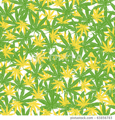 Seamless pattern with leaves of hemp, marijuana, hashish. Marijuana leaf. Cannabis plant 63856783