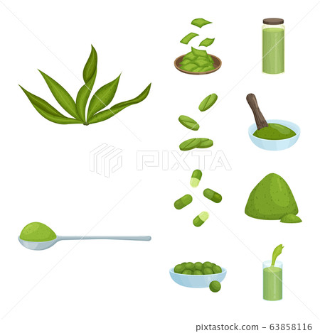 Vector illustration of spirulina and seaweed icon. Collection of spirulina and vegan stock symbol for web. 63858116
