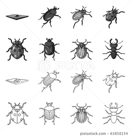 Vector design of insect and beetle sign. Set of insect and halloween vector icon for stock. Vector design of insect and beetle sign. Set of insect and halloween vector icon for stock. 63858154