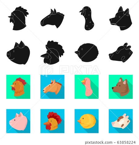 Vector design of agriculture and breeding icon. Collection of agriculture and organic stock vector illustration. 63858224