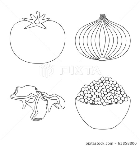 Vector design of seasonin and ingredient symbol. Set of seasonin and aroma vector icon for stock. 63858800