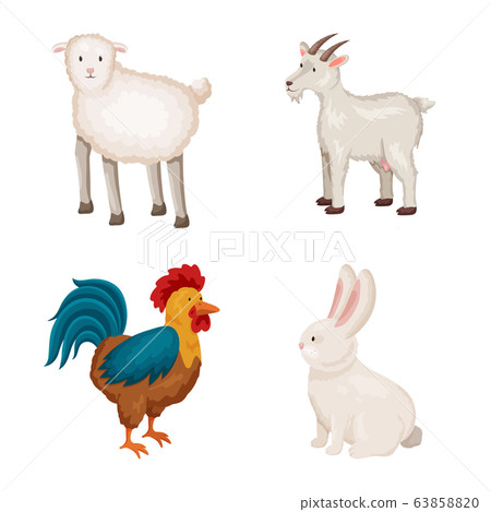 Vector design of farm and food symbol. Collection of farm and countryside stock symbol for web. 63858820